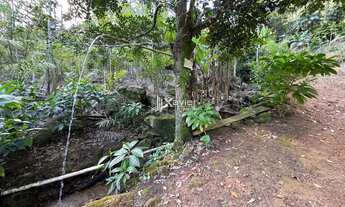 Imagem 6: Terreno de 40.000 m² à Venda em Guarapari/ES - Próximo à Rota da Ferradura, com Nascentes