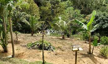 Imagem 4: Chácara encantadora com 3.700 m², casa sede e pomar exuberante em Marechal Floriano (ES