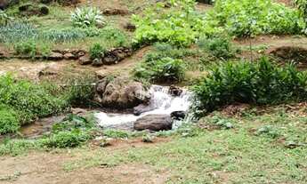 Imagem: Terreno de 50.000 m² com riacho no Vale