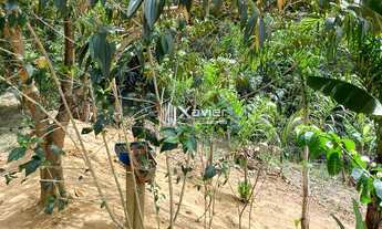 Imagem 5: Chácara encantadora com 3.700 m², casa sede e pomar exuberante em Marechal Floriano (ES