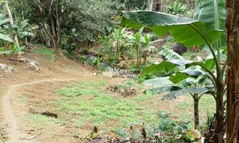 Imagem 5: Terreno de 50.000 m² com riacho no Vale da Estação - Santa Isabel/ES, a 5 km do Portal de