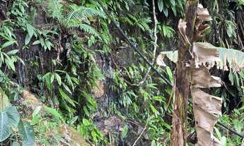 Imagem 7: Terreno de 40.000 m² à Venda em Guarapari/ES - Próximo à Rota da Ferradura, com Nascentes