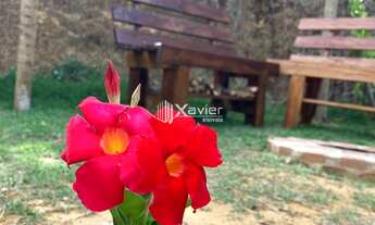 Imagem 3: Chácara encantadora com 3.700 m², casa sede e pomar exuberante em Marechal Floriano (ES