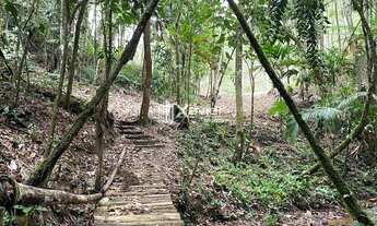 Imagem 4: Sítio Escriturado com 24.000 m², Casa Nova, Cachoeiras e Platôs - Alfredo Chaves/ES