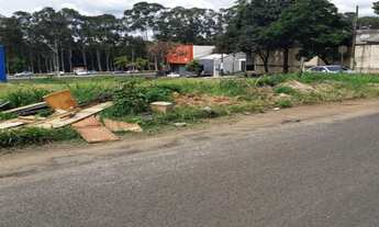 Imagem 4: TERRENO A VENDA BAIRRO SEGISMUNDO PEREIRA COM 360M PERTO PARQUE SABIA