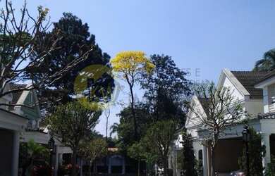 Imagem 5: Casa em condomínio com 4 dormitórios à venda, 450 m² por R$ 3.299.000,00 - Alto da Boa Vis