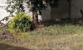 Imagem 6: TERREO A VENDA PLANO COMERCIAL /RESIDENCIAL 900M² COM 30X30M² FUNDOS LOCALIZAÇÃO PRIVILEGI