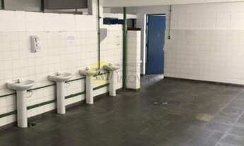 Imagem 3: Galpão para locação Vila Leopoldina z/o sp kW Imóveis SP. Agenda só visite e confira