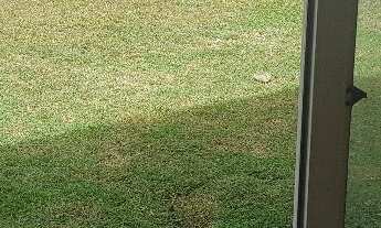 Imagem 7: Casa em Condomínio à venda no Brooklin Paulista, com 4 Quartos e 5 banheiros com 342 m² po