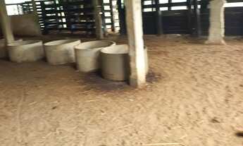 Imagem 6: Linda fazenda à venda em Sete Barras SP