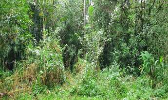 Imagem 2: TERRENO DOCUMENTADO COM ESCRITURA E MATRICULA INDIVIDUALIZADA NO COSTA DO SOL
