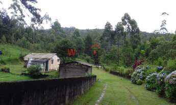 Imagem: Vende-se Grande Area Rural em Taiaçupeba