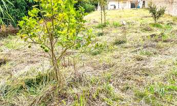 Imagem 6: 576M² de Área Total