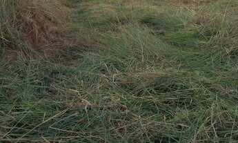 Imagem 5: TERRENO COMERCIAL PARA VENDA EM EXCELENTE LOCALIZAÇÃO NO RESIDENCIAL SÃO THOMAZ