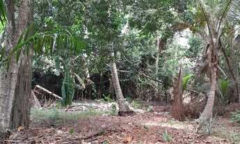 Imagem: TERRENO RESIDENCIAL em SANTA CRUZ CABRÁLIA