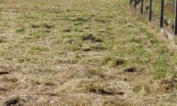 Imagem 3: GALPAO COMERCIAL em SOROCABA - SP, Itavuvu