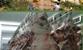 Imagem 4: FAZENDA RURAL em LUÍS EDUARDO MAGALHÃES - BA, BR 020