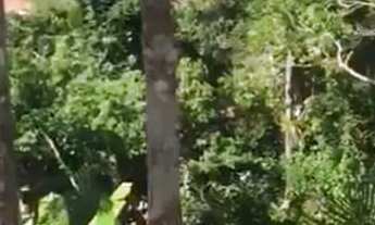 Imagem 2: TERRENO RESIDENCIAL em SANTA CRUZ CABRÁLIA - BA, Vista Mar em Nova Cabrália