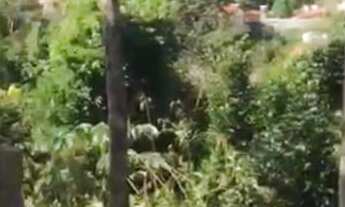 Imagem 4: TERRENO RESIDENCIAL em SANTA CRUZ CABRÁLIA - BA, Vista Mar em Nova Cabrália