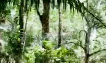 Imagem 1: TERRENO RESIDENCIAL em VALENÇA - BA, SERRA GRANDE