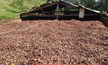 Imagem 3: FAZENDA RESIDENCIAL em PORTO SEGURO - BA, Centro