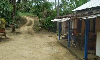 Imagem 5: FAZENDA RESIDENCIAL em ITACARÉ - BA, CENTRO