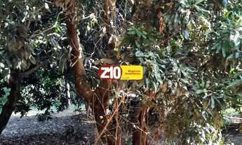 Imagem 4: TERRENO CHÁCARA EM CONDOMÍNIO - VALE DAS LARANJEIRAS - INDAIATUBA SP