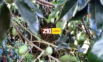 Imagem 6: TERRENO CHÁCARA EM CONDOMÍNIO - VALE DAS LARANJEIRAS - INDAIATUBA SP