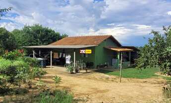 Imagem 7: SITIO A VENDA OU TROCA COM CASA EM ÁREA RURAL COM PLENA PRODUÇÃO - CAPIVARI/SP