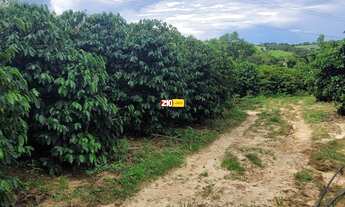 Imagem 6: SITIO A VENDA OU TROCA COM CASA EM ÁREA RURAL COM PLENA PRODUÇÃO - CAPIVARI/SP