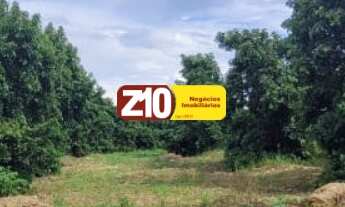 Imagem: SITIO A VENDA OU TROCA COM CASA EM ÁREA