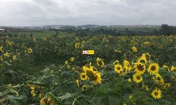 Imagem 2: TERRENO A VENDA - VILA FAHL - INDAIATUBA SP