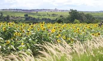 Imagem 6: TERRENO A VENDA - VILA FAHL - INDAIATUBA SP