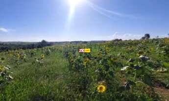 Imagem 3: TERRENO A VENDA - VILA FAHL - INDAIATUBA SP