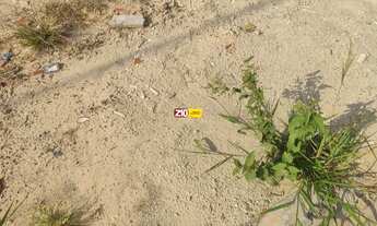 Imagem 4: TERRENO A VENDA JARDIM BOM SUCESSO INDAIATUBA