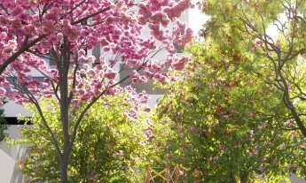 Imagem 2: LANÇAMENTO EM AGOSTO de Apartamento com 79m, 3 quartos sendo suíte, 2 banheiros, 1 vaga de