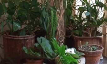 Imagem 5: Venda de apartamento, Paraíso, 96,17m² , 3 dormitórios sendo 01suíte, sala para 2 ambient