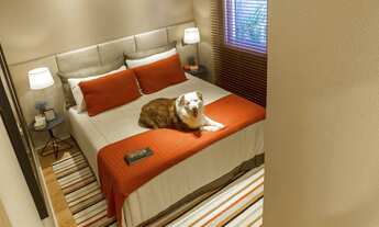 Imagem 7: VENDA DE APARTAMENTOS DE 87 A 90 MTS, MORUMBI - 6 TORRES - PRONTO PARA MORAR - 3 DORMS/1SU