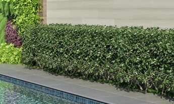 Imagem 4: Venda de Apartamento, 160mts, na Vila Nova Conceição, 03 suítes, 03 vagas de garagem, LAZE