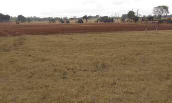 Imagem 4: FAZENDA EM PARANAIBA, 6km do asfalto em PARANAIBA - MS - 120 alqueires. OPORTUNIDADE ÚNICA