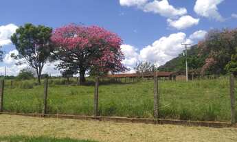Imagem 5: FAZENDA EM PARANAIBA, 6km do asfalto em PARANAIBA - MS - 120 alqueires. OPORTUNIDADE ÚNICA