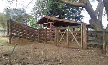 Imagem 6: FAZENDA EM PARANAIBA, 6km do asfalto em PARANAIBA - MS - 120 alqueires. OPORTUNIDADE ÚNICA