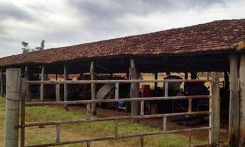 Imagem 7: FAZENDA EM PARANAIBA, 6km do asfalto em PARANAIBA - MS - 120 alqueires. OPORTUNIDADE ÚNICA