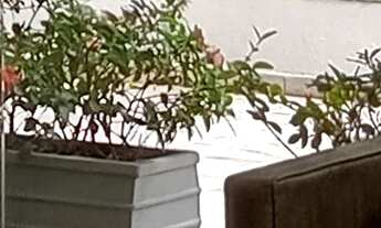 Imagem 3: ALUGUEL DE APARTAMENTO, VILA MARIANA, 80 M2, 2 DORMITÓRIOS , SENDO 1 SUITE, LAVABO, 1 VAG