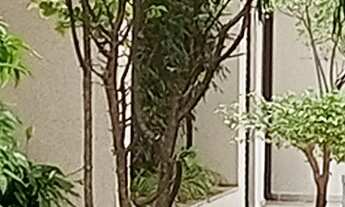 Imagem 7: ALUGUEL DE APARTAMENTO, VILA MARIANA, 80 M2, 2 DORMITÓRIOS , SENDO 1 SUITE, LAVABO, 1 VAG