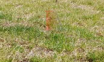 Imagem: TERRENO A VENDA EM BOITUVA