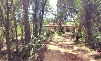 Imagem: CHACARA RESIDENCIAL em BOITUVA - SP, PINHAL