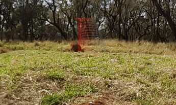 Imagem: Terreno dos seus sonhos à venda!
