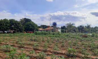 Imagem 6: Excelente Sítio em Boituva