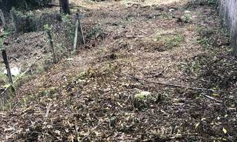 Imagem 5: Terreno amplo e verde no tranquilo Jardim Monjolo/Barreirinha